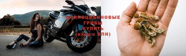 мяу мяу кристалл Бородино